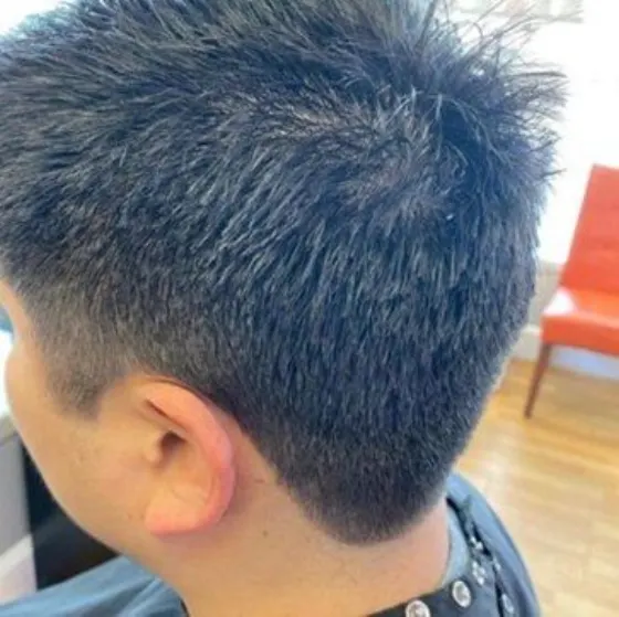 Fresh short cut with a blue-black tone